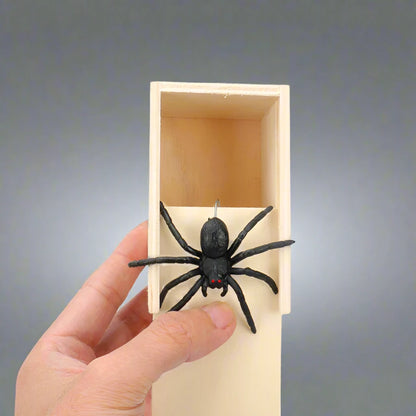 Spider in the Box