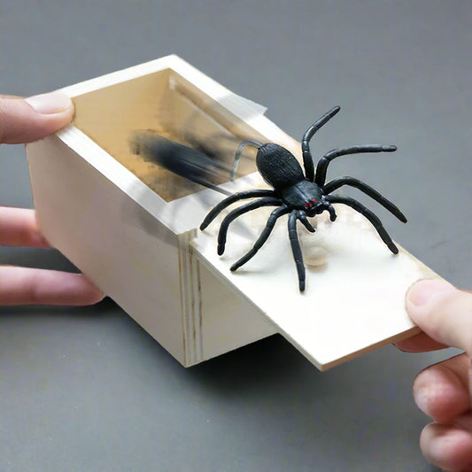 Spider in the Box