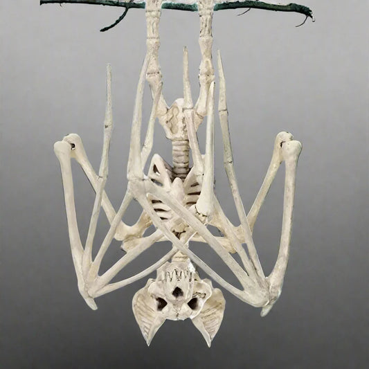 Halloween Horror Bats Skeleton Decoration